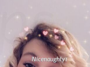 Nicenaughty1