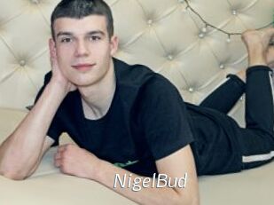 NigelBud