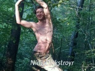 NinjaDickstroyr
