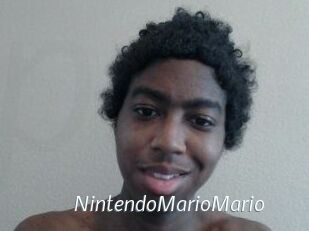 NintendoMarioMario