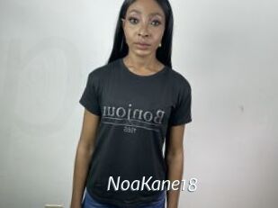 NoaKane18