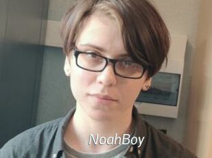NoahBoy