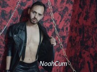 NoahCum