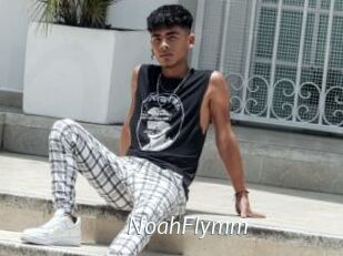 NoahFlymm Porn Star