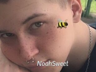 NoahSweet