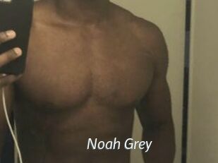 Noah_Grey