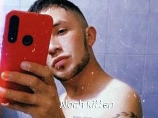Noah_kitten