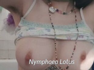 Nymphaea_Lotus