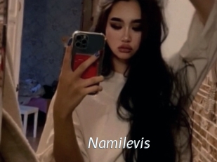 Namilevis