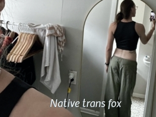 Native_trans_fox