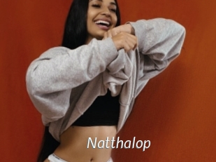 Natthalop