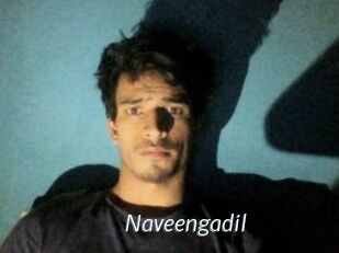 Naveengadil