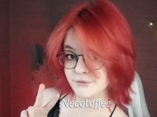 necatoffee Porn Star