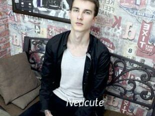 Nedcute