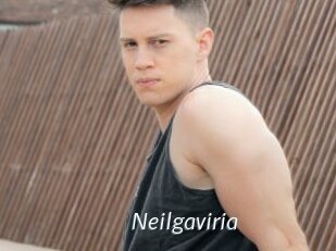 Neilgaviria