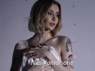 Nesolamaisone