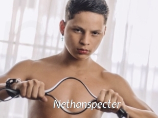 Nethanspecter