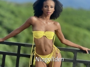 Niagollden