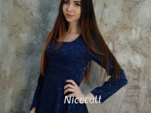 Nicecatt