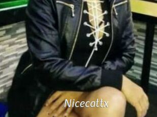 Nicecattx