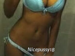 Nicepussy18