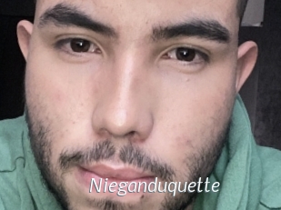 Nieganduquette