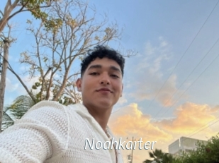 Noahkarter