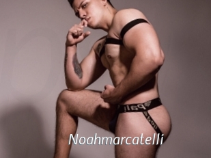 noahmarcatelli Porn Star