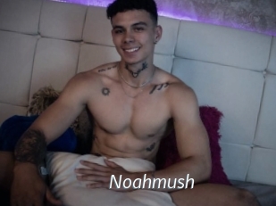 noahmush Porn Star