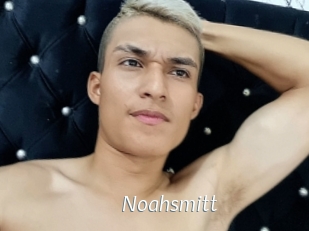 Noahsmitt