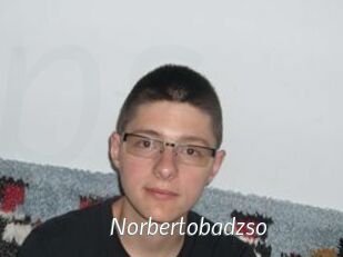 Norbertobadzso