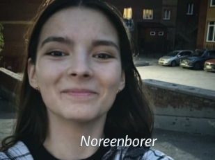 Noreenborer