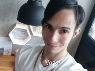 Nozel