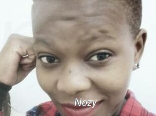 Nozy