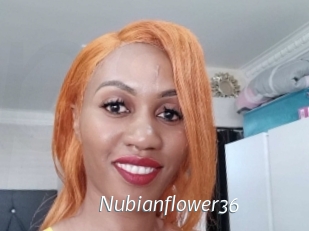 nubianflower36 Porn Star