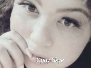 Opay_Skye