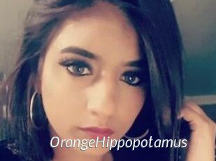 OrangeHippopotamus
