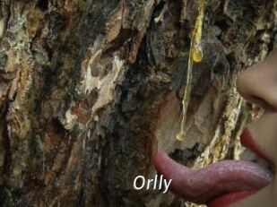 Orlly