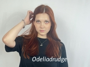 Odeliadrudge