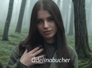 Odelinabucher