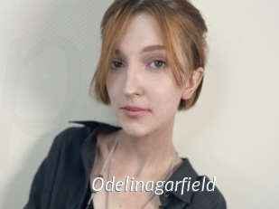 Odelinagarfield