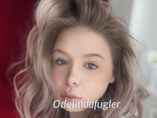 Odelindafugler