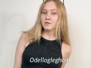 Odellagleghorn