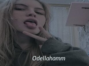 Odellahamm