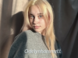 Odelynhammett