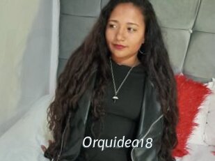 Orquidea18
