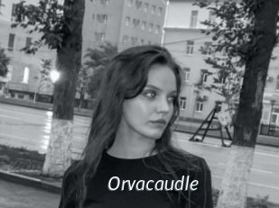 Orvacaudle