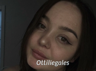 Ottiliegales