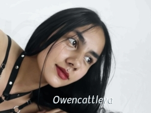 Owencattleya