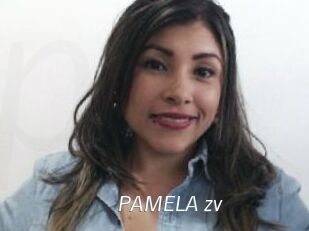 PAMELA_zv